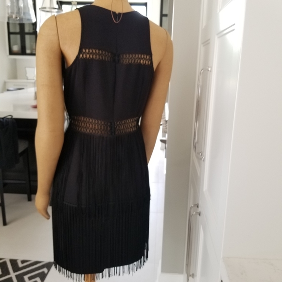 Aidan Mattox fringe dress sz 10 - Picture 5 of 11